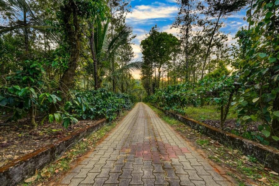 Coorg Bliss Estate Stay Madikeri Zewnętrze zdjęcie
