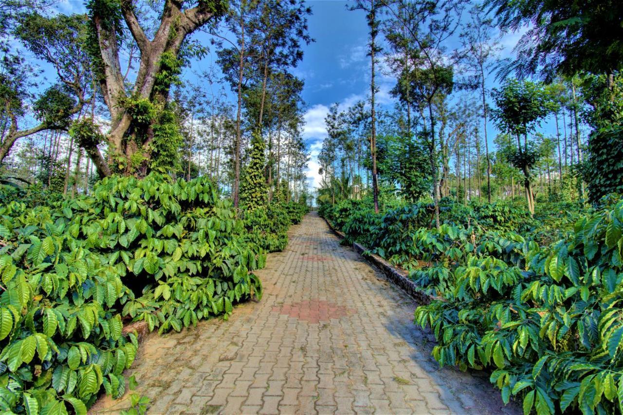 Coorg Bliss Estate Stay Madikeri Zewnętrze zdjęcie