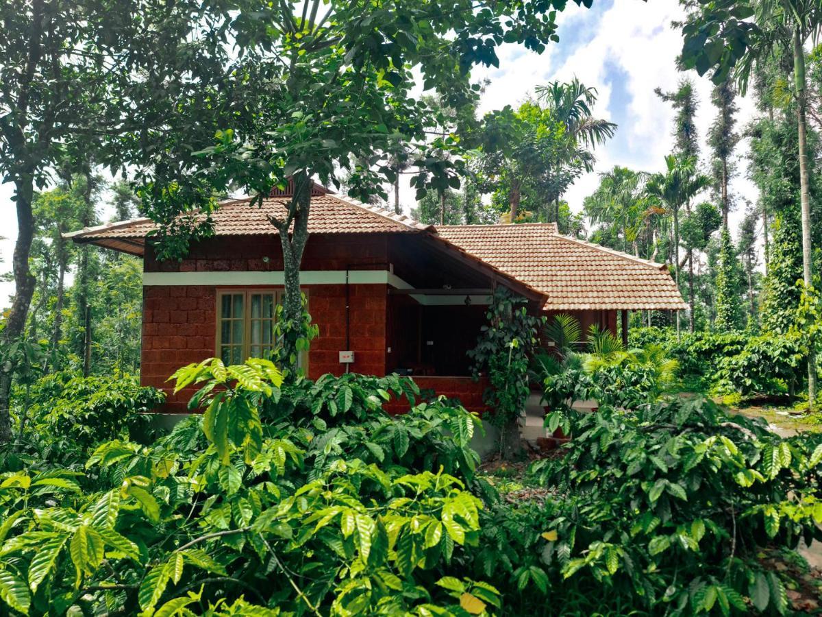 Coorg Bliss Estate Stay Madikeri Zewnętrze zdjęcie